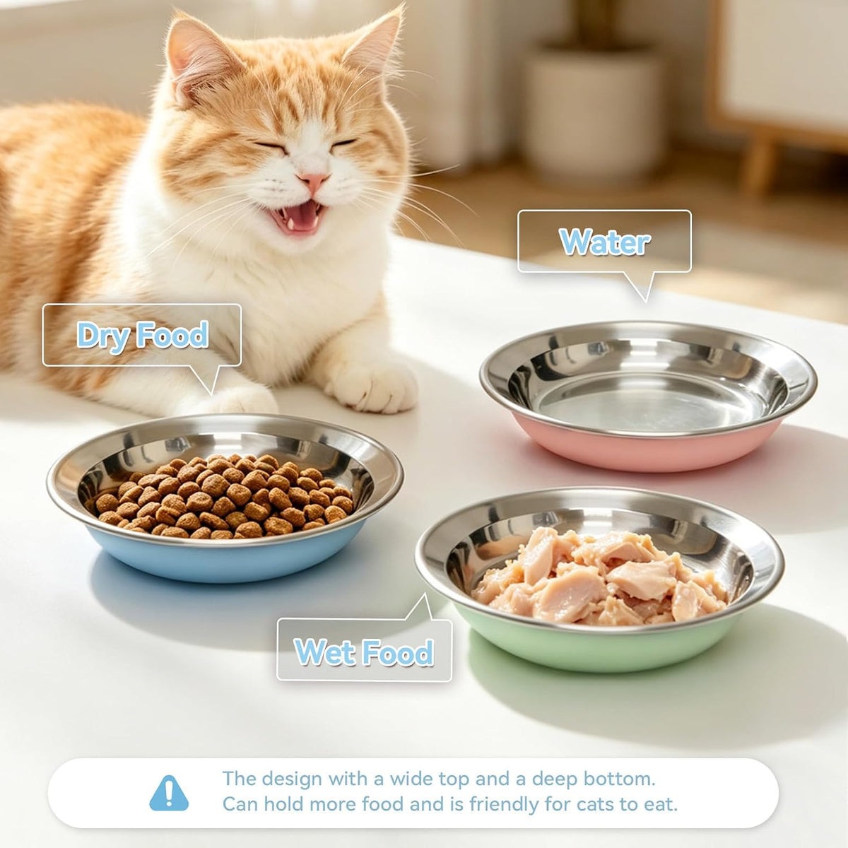6 Pack Stainless Steel Cat Bowls, Cat Dishes Shallow Whisker Friendly