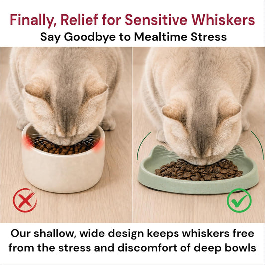 7 Ruby Road Shallow Cat & Kitten Food Bowls, Whisker Friendly, Set of 2