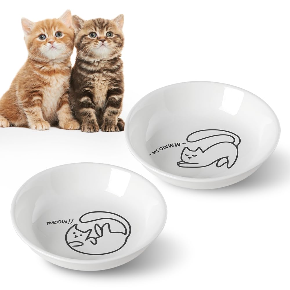 HAPPY KIT 2pcs Little Cat Bowls, 5Inch Cat Food Bowl for Indoor Cats