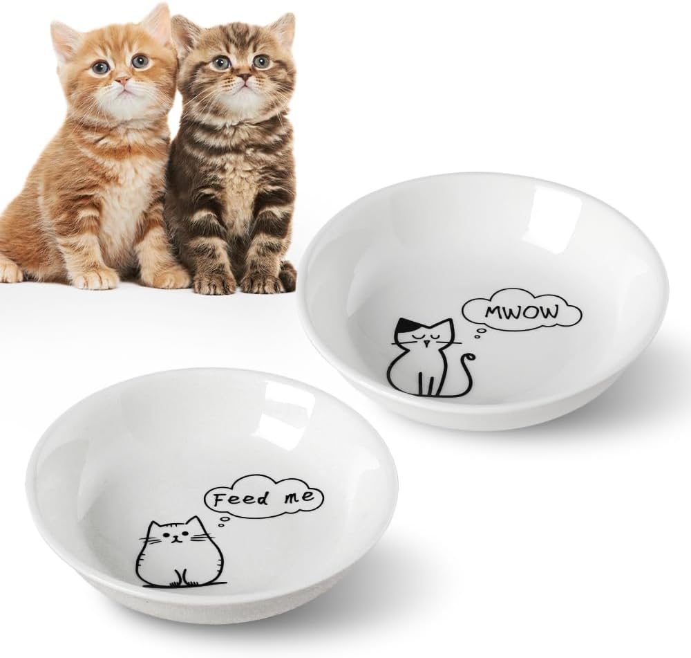 HAPPY KIT 2pcs Little Cat Bowls, 5Inch Cat Food Bowl for Indoor Cats