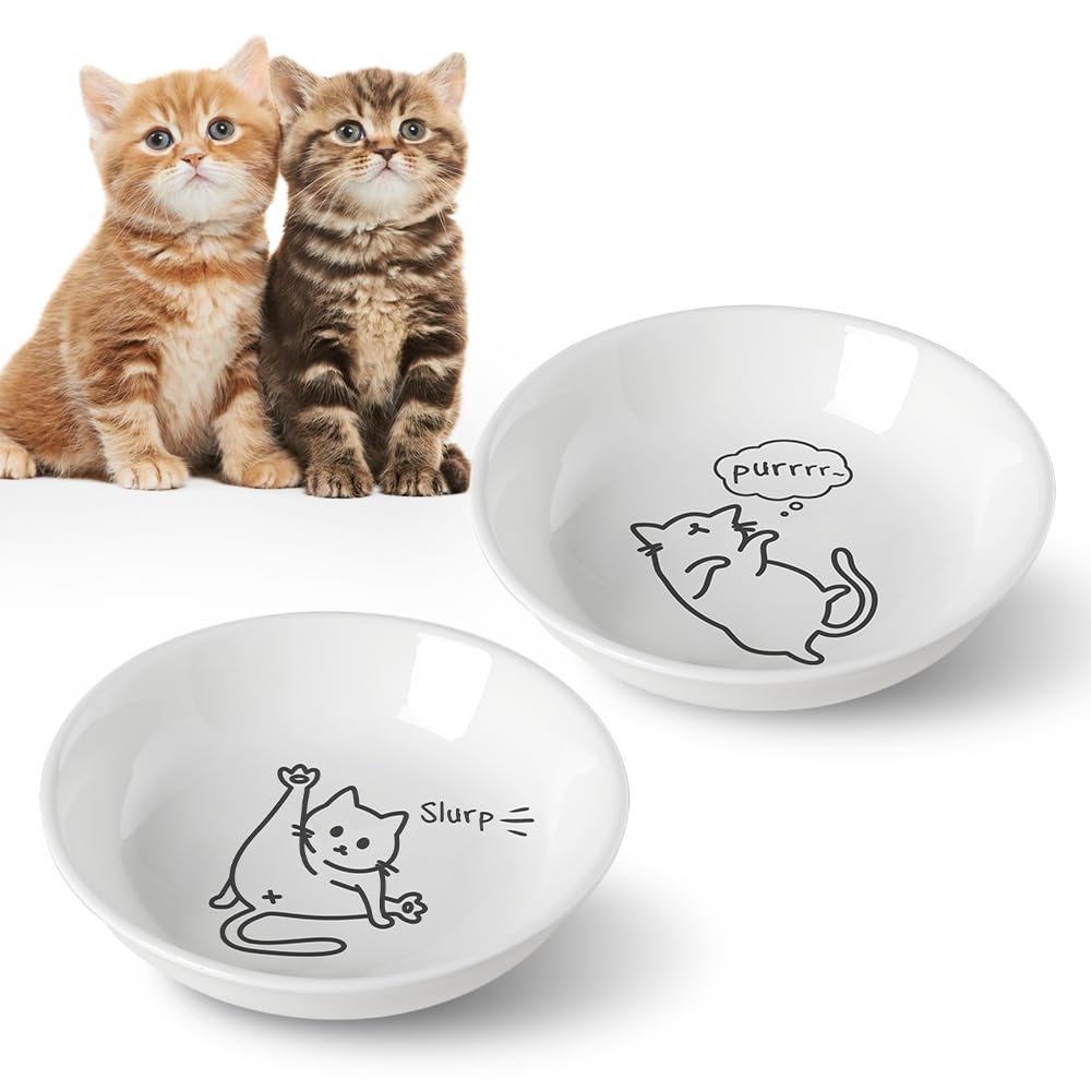 HAPPY KIT 2pcs Little Cat Bowls, 5Inch Cat Food Bowl for Indoor Cats