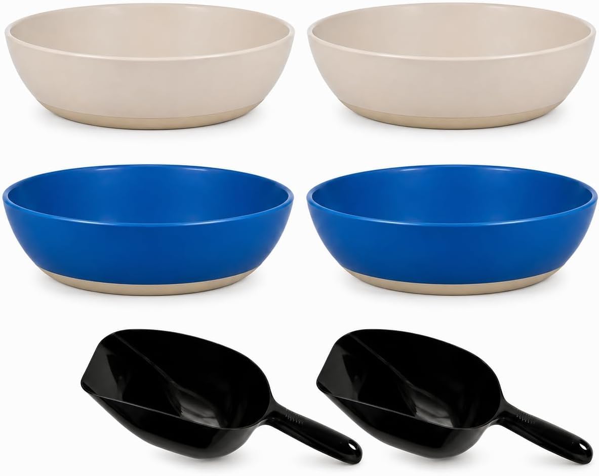 4 Pack Non-Slip Plastic Cat Bowls for Indoor Cats, Food & Water Dishes for Kittens, Puppies & Small Pets, Anti-Skid Rubber Base, Gray & Blue, Easy to Clean (Grey and Blue)