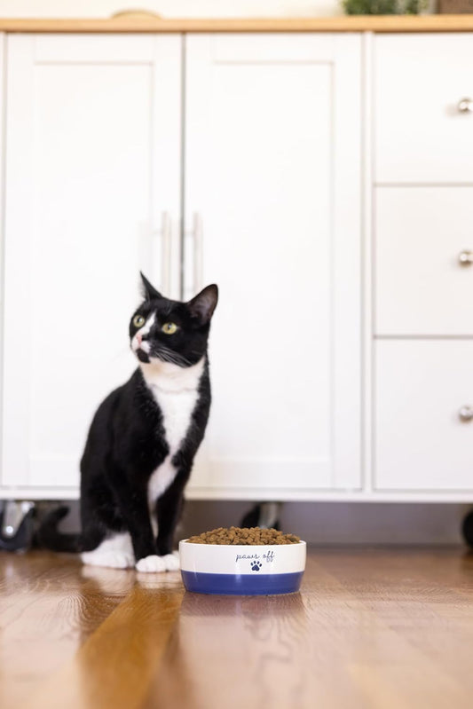 Pearhead Ceramic Cat Bowl, Holds 12 oz, Navy Blue “Paws Off” Design