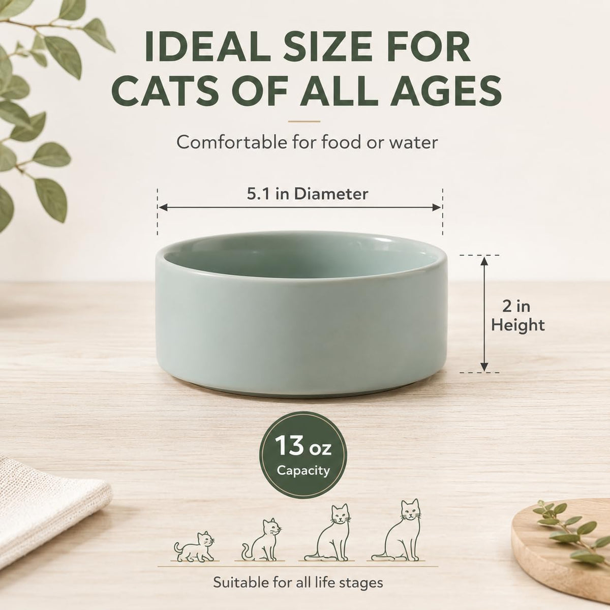 Havniva Cat Bowls Set of Two, 5.1” Ceramic Cat Food Bowls, Cat Water Bowl