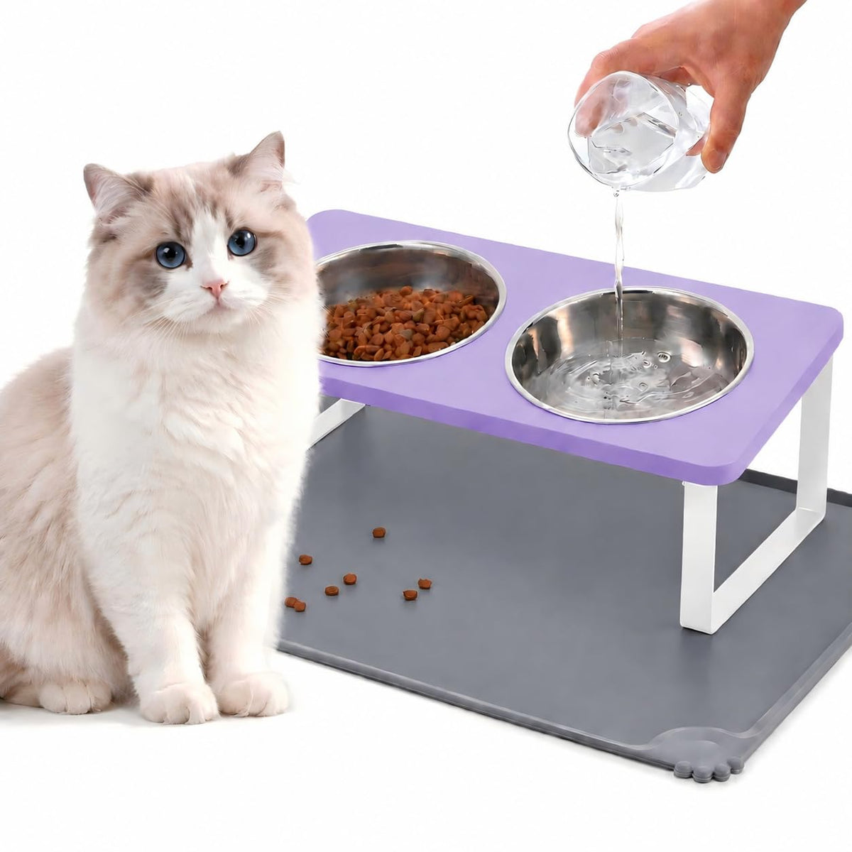 Upgraded Elevated Cat Bowls with Food Mat,15°Tilted Stand Anti Vomiting Raised Cat Dishes for Food and Water,2 Stainless Steel Bowls for Cats and Puppy