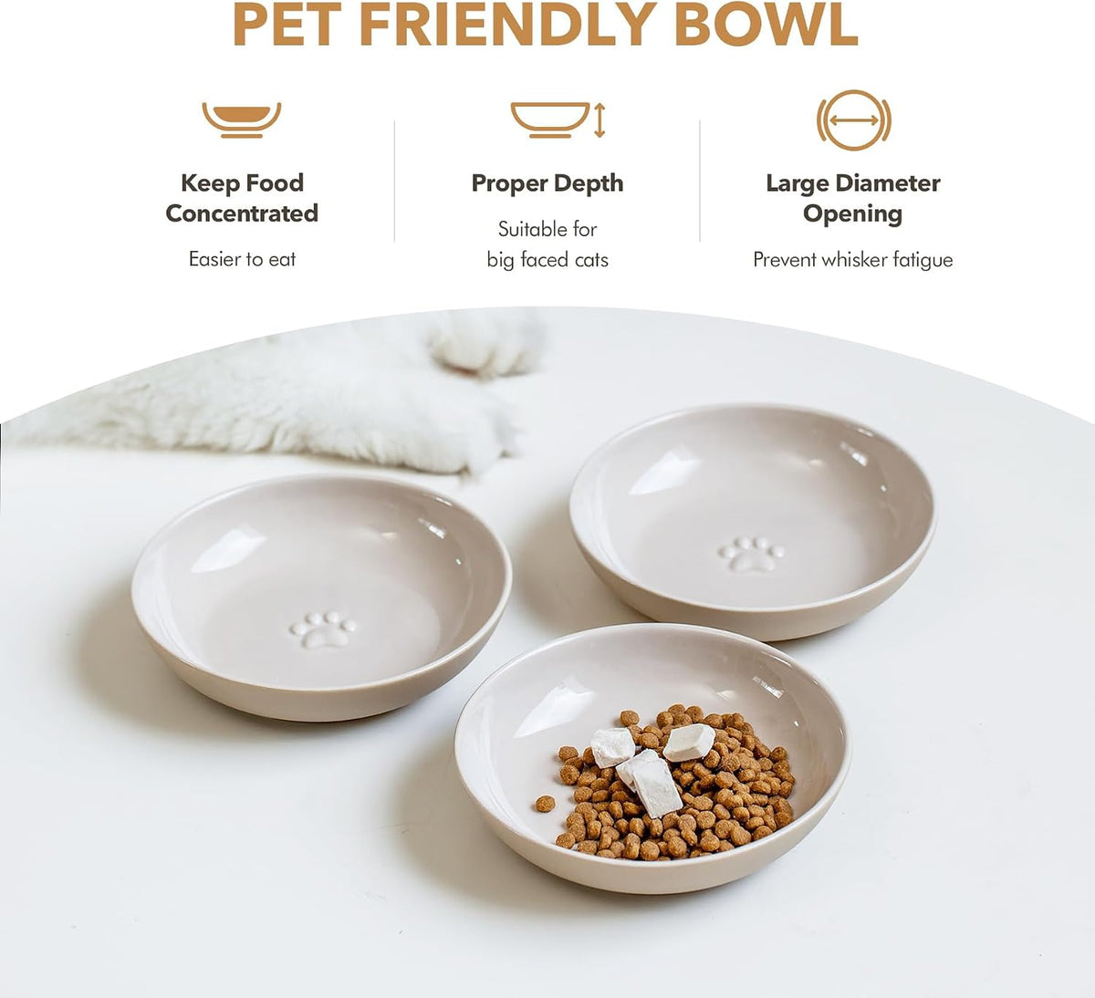 Havniva Ceramic Cat Bowls, Shallow Cat Dishes, Cat Food Plate Set of 3