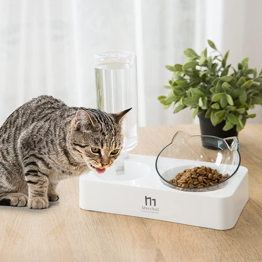 Marchul Double Elevated Dog Cat Bowl, Pets Water and Food Bowl Set, 15° Raised Tilted Dishes Indoor for Kitten, Puppies, Small or Medium Size Dogs Cats