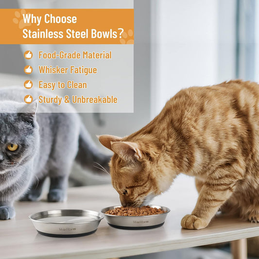Cat Bowls, 304 Stainless Steel Non-Slip Wide Shallow, 2 Pack