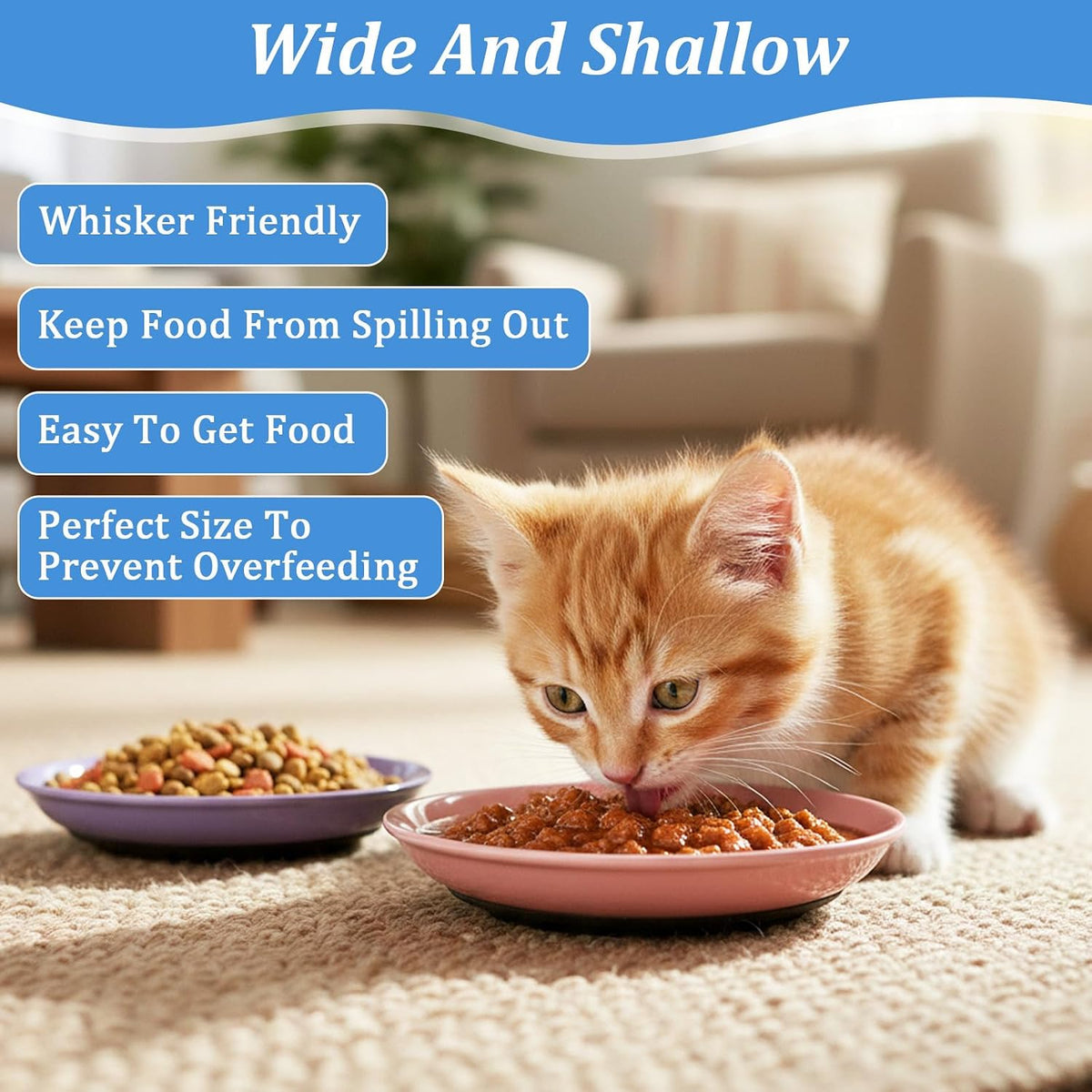 6 Pack Ceramic Cat Food Bowls, Non-Slip Shallow Cat Dishes with Silicone Base, Whisker Friendly Pet Bowls for Indoor Cats, Kittens, and Small Dogs, Multicolor