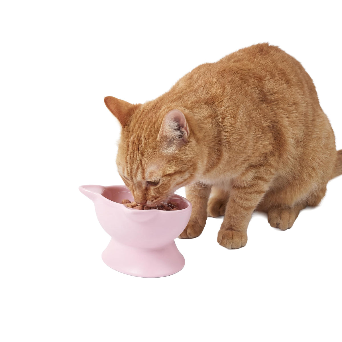 Kitty City Elevated Cat Bowls (Set of 2), Whisker-Friendly Raised Cat Food & Water Dishes, Modern Pedestal Design, Dishwasher Safe, 6.5 oz Each – White & Gray