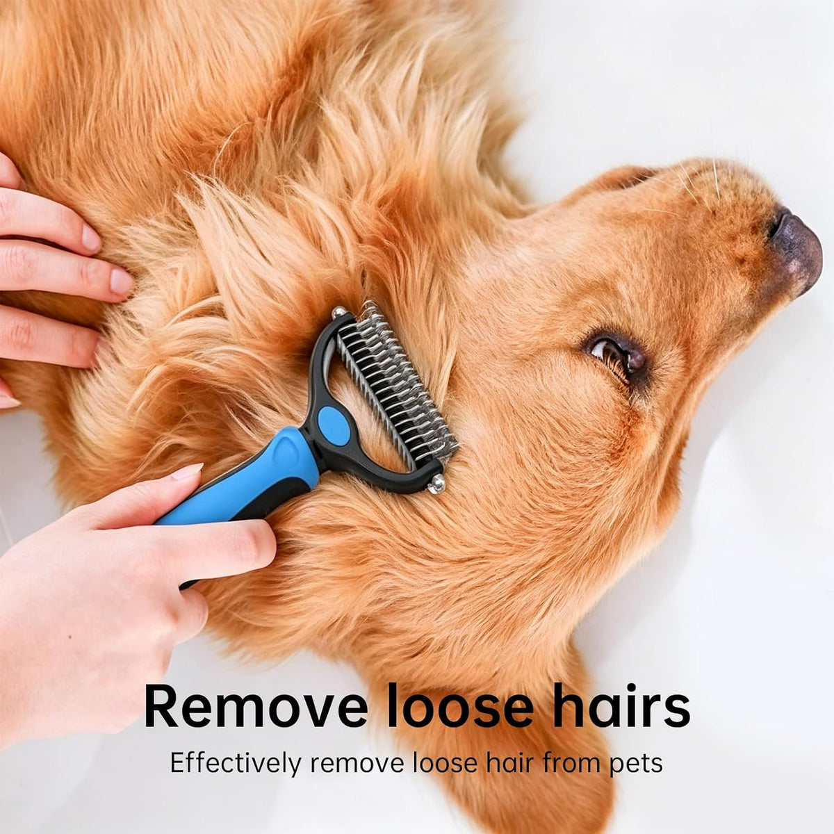 4 PCS Dog and Cat Grooming Kit Pet undercoat rake for dogs cat