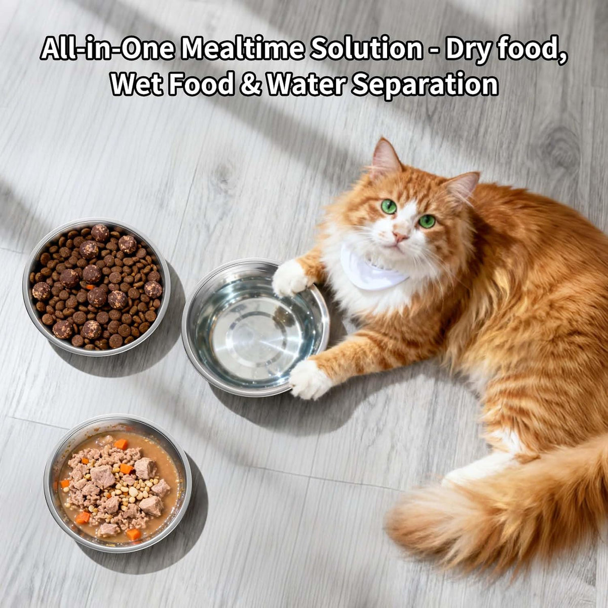 Tifanso 6PCS 5.6" Stainless Steel Whisker Friendly Cat Food & Water Bowls