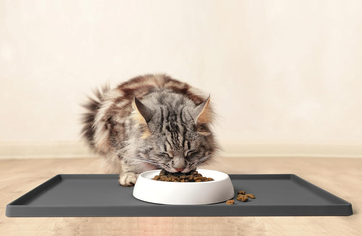 CatGuru Cat Bowls, Whisker Friendly Food Bowl for Indoor Cats, Reliefs Whisker Fatigue, Wide Kitten Dish, Non Slip Pet Dishes, Shallow Pet Plates (Marshmallow, (Pack of 2))