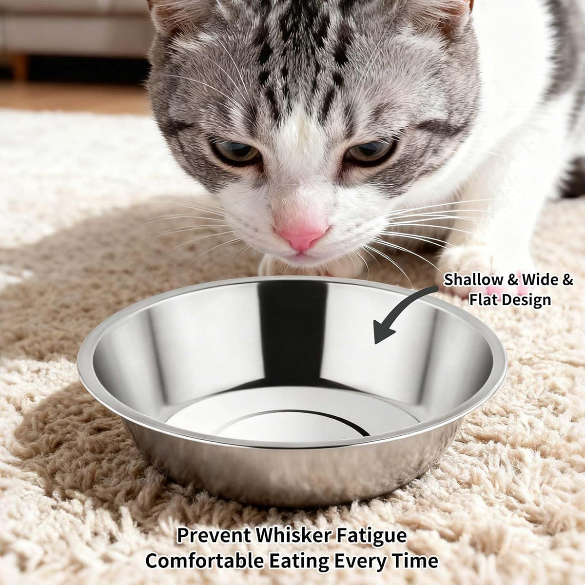 Tifanso 6PCS 5.6" Stainless Steel Whisker Friendly Cat Food & Water Bowls