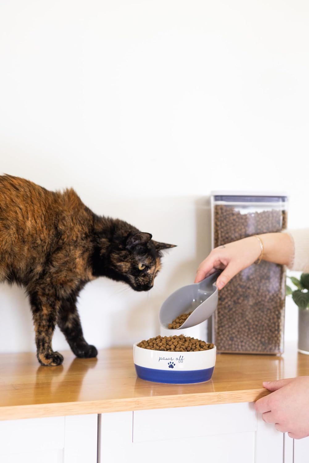 Pearhead Ceramic Cat Bowl, Holds 12 oz, Navy Blue “Paws Off” Design