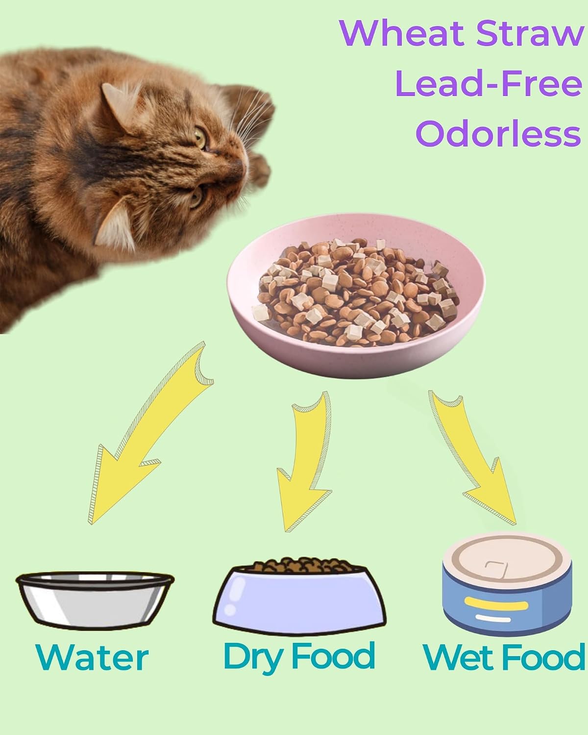 6 Set Cat Bowl BPA Free, Whisker Friendly Cat Food Bowl, Non-Slip, Plastic