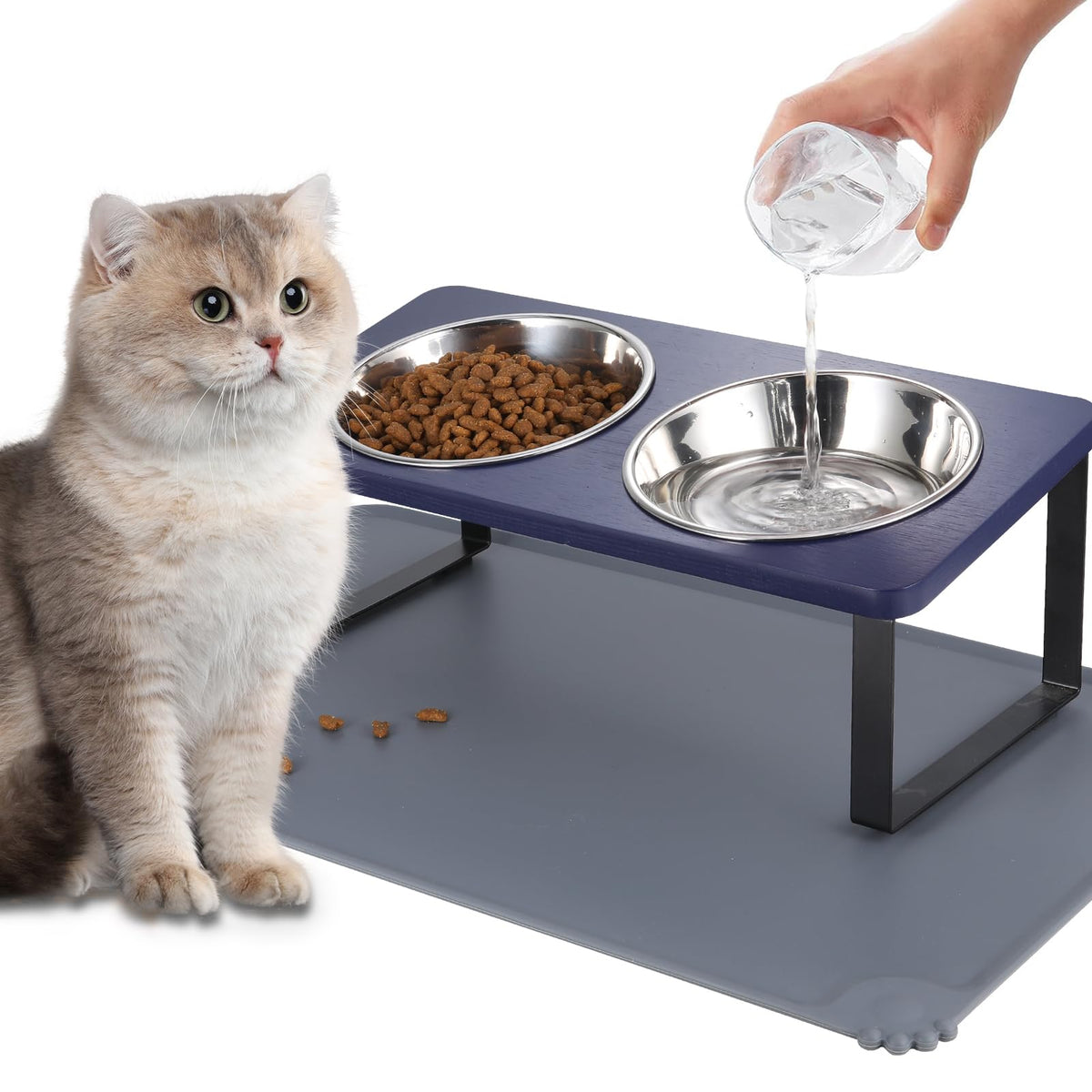 Upgraded Elevated Cat Bowls with Food Mat,15°Tilted Stand Anti Vomiting Raised Cat Dishes for Food and Water,2 Stainless Steel Bowls for Cats and Puppy