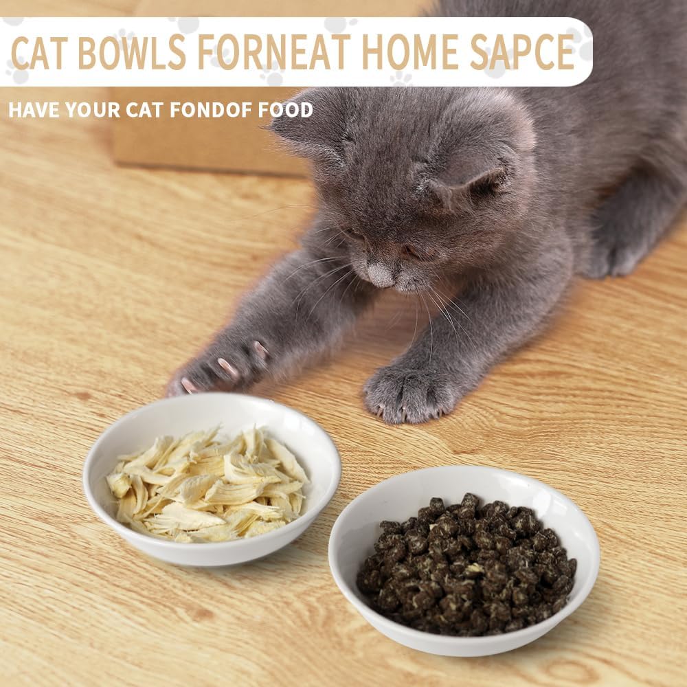 HAPPY KIT 2pcs Little Cat Bowls, 5Inch Cat Food Bowl for Indoor Cats