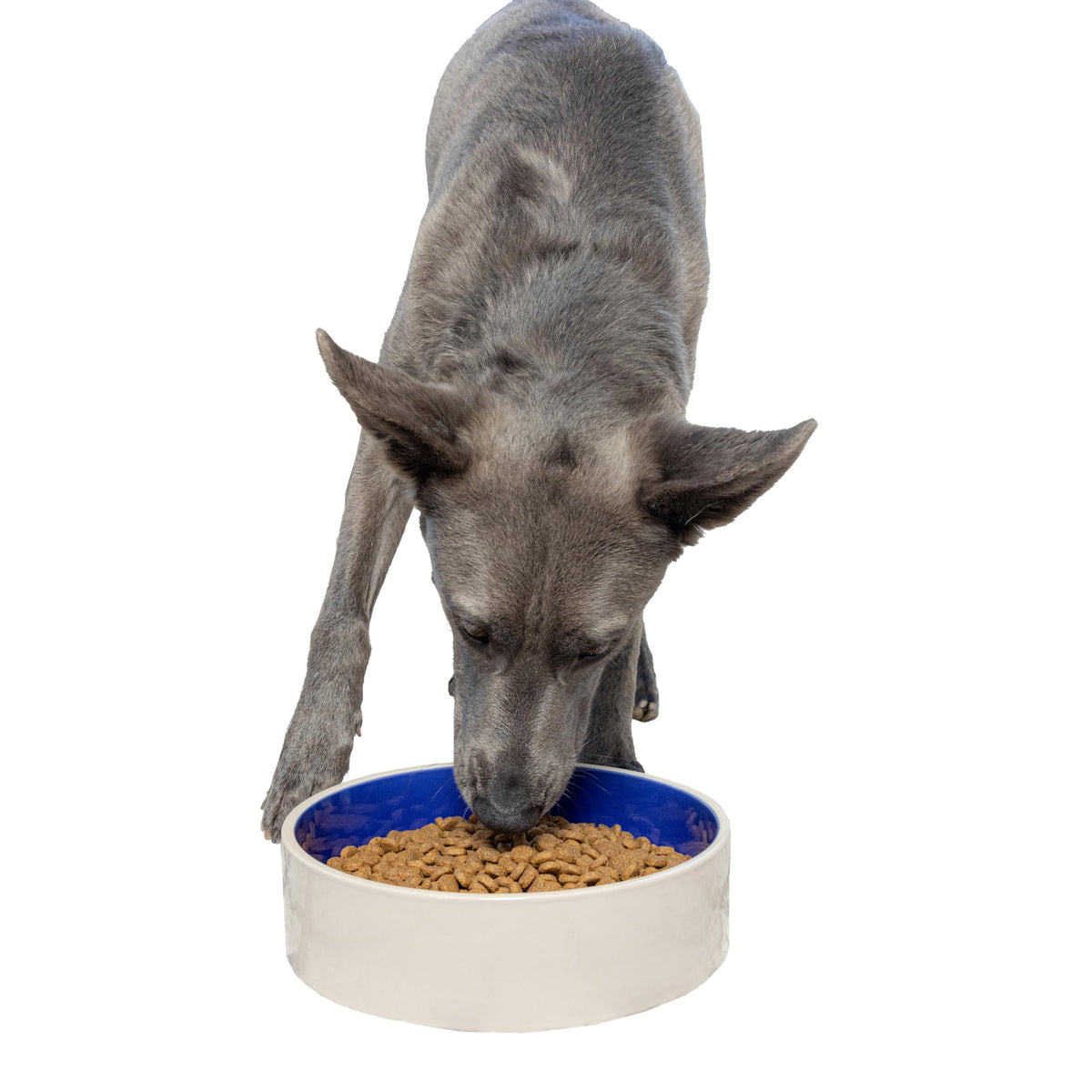 SPOT by Ethical Products – Ceramic Stoneware Pet Bowl for Cats and Small Dogs,Classic Heavy Duty Non Slip Ceramic Cat Dish Dog Bowls for Food and Water