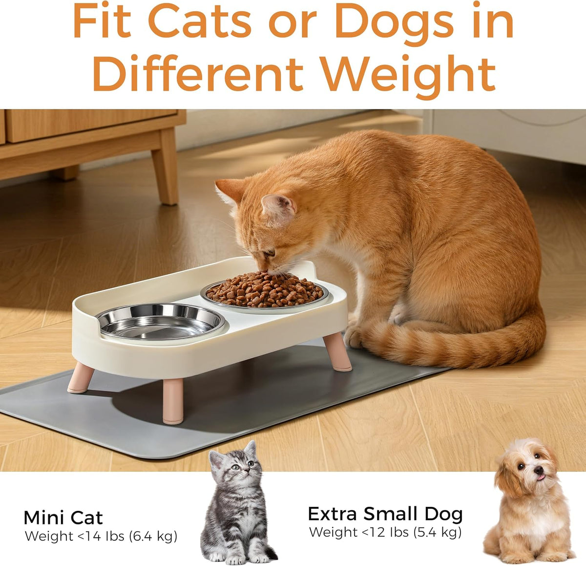 LoeJan Elevated Cat Bowls Set - Raised Cat Food and Water Bowl Set with Non Slip Stand - Pet Feeding Station with 2 Stainless Steel Bowls with Splash Proof Guard
