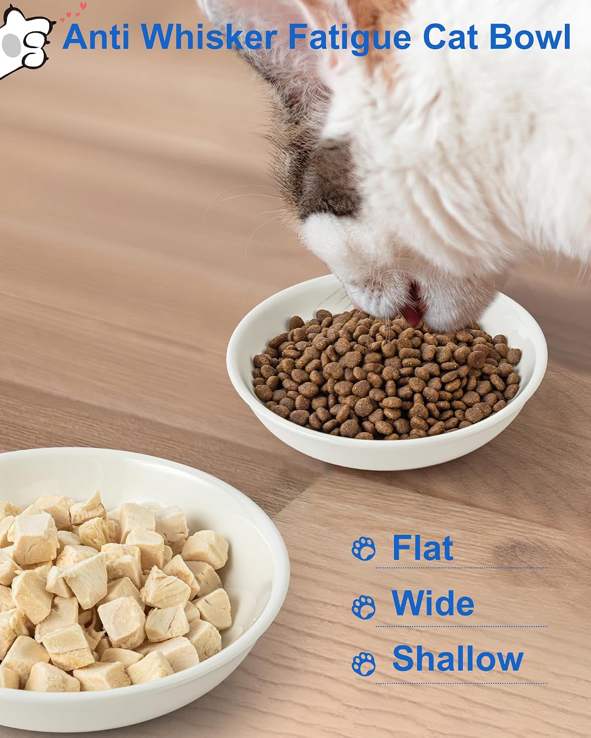 Ceramic Cat Bowl Whisker Friendly, Non-Slip Cat Food Bowls 3-Pack