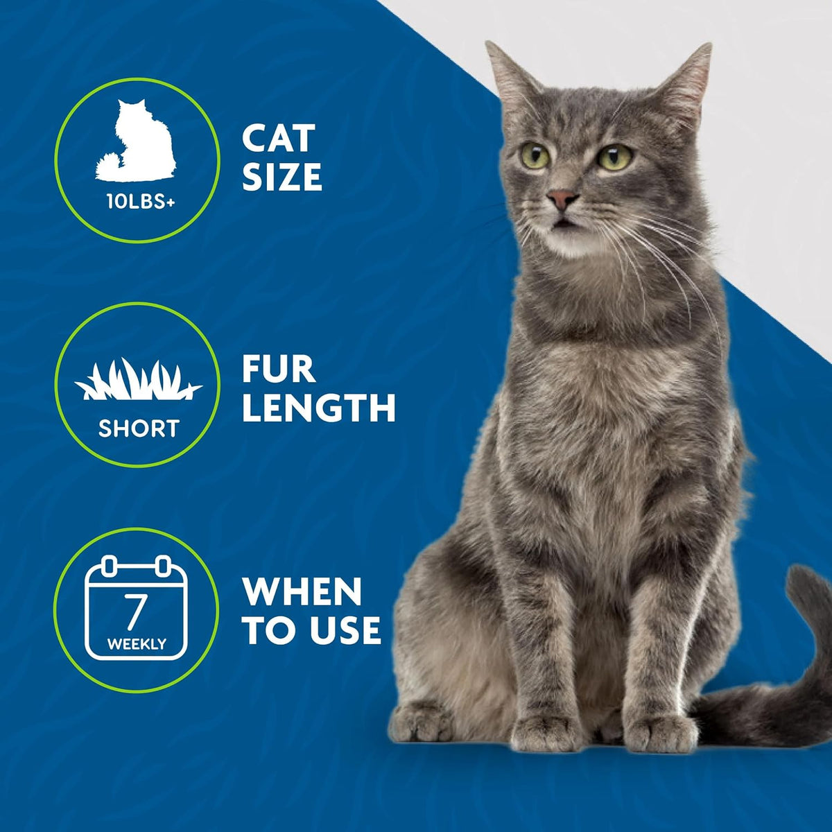 FURminator Medium to Large Cat deShedding Tool for Short Hair