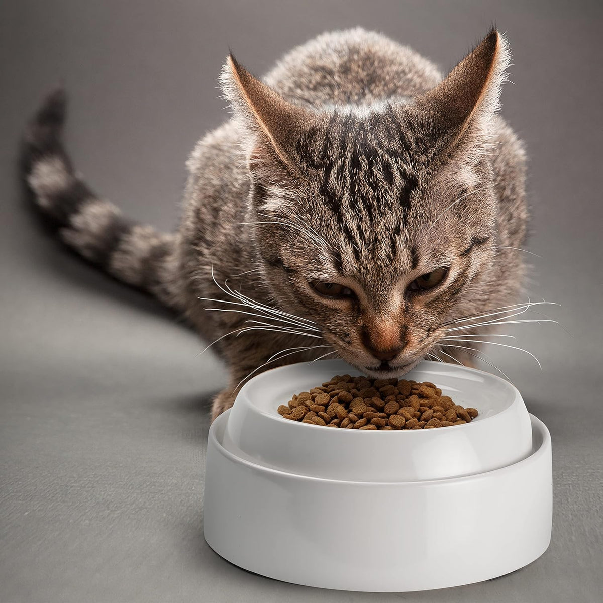 CatGuru Cat Bowls, Whisker Friendly Food Bowl for Indoor Cats, Reliefs Whisker Fatigue, Wide Kitten Dish, Non Slip Pet Dishes, Shallow Pet Plates (Marshmallow, (Pack of 2))